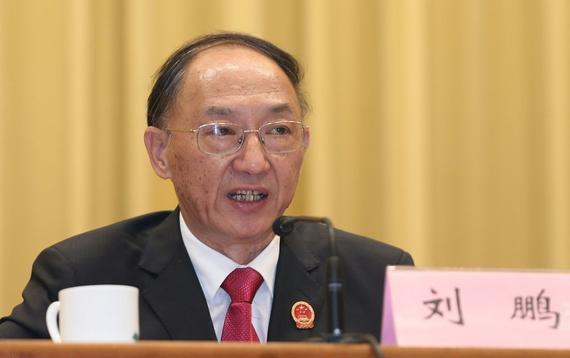 国家体育总局局长刘鹏（资料图）