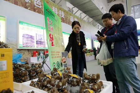 黄河口大闸蟹在展销会上受到顾客青睐。（周广学  报道）
