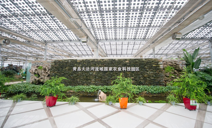 一二三产联动，光伏农业示范基地内景色别具一格