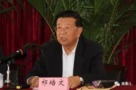 处以极刑的一副国一副部 都是他带头查的