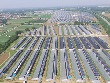 新泰200万千瓦农光互补示范基地