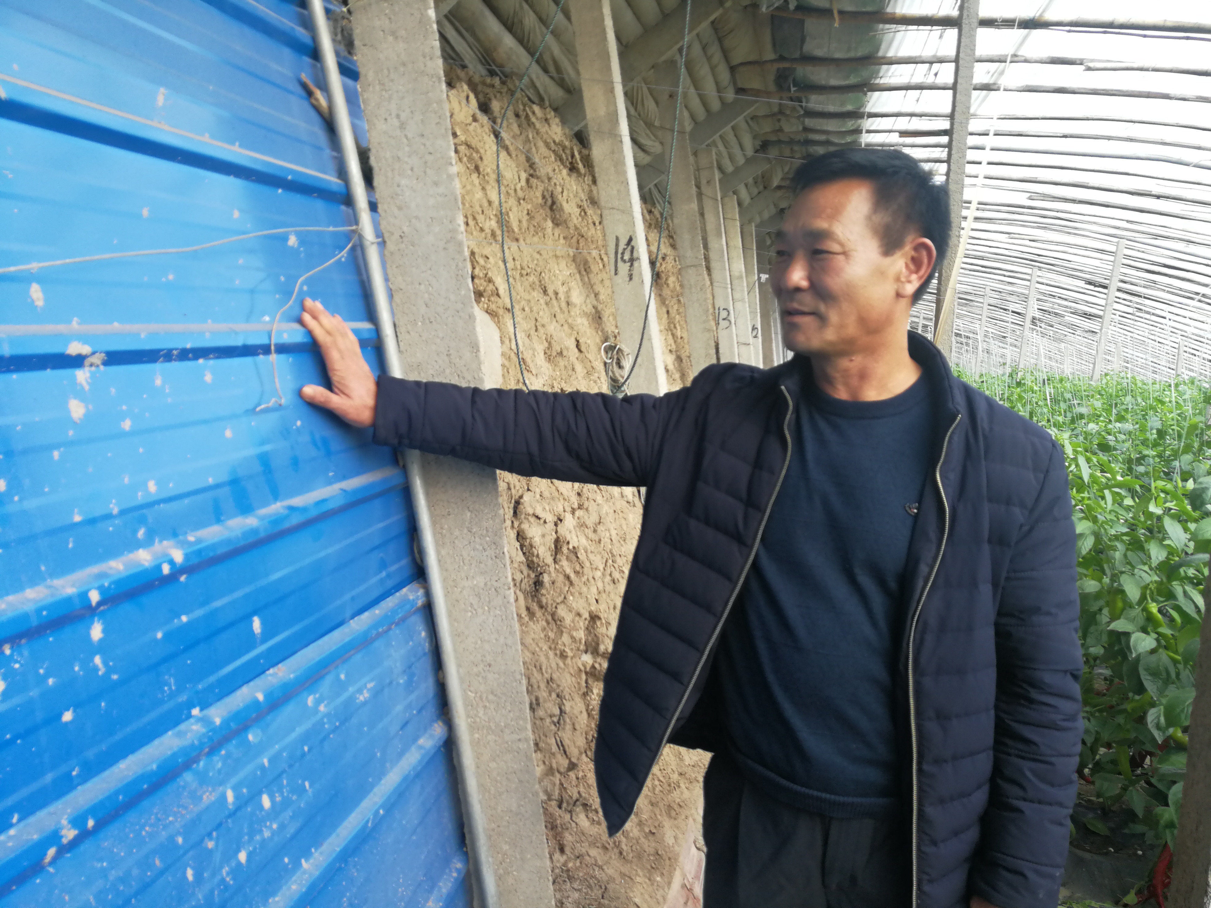 寿光洛城街道段家尧河村村民展示修复的大棚墙体