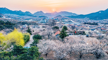 生态宜居乡村