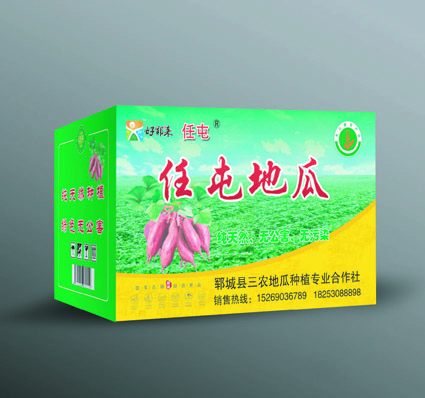 三农地瓜种植专业合作社出品的“任屯地瓜”在郓城当地广受好评