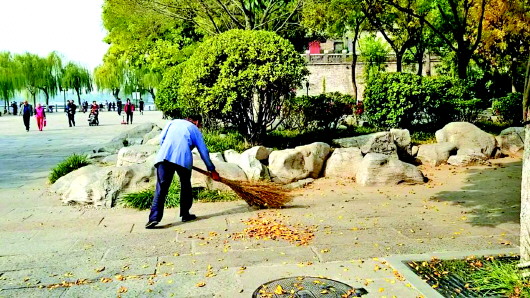 落叶.jpg