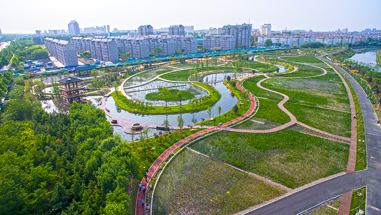 乌河入湖口人工湿地一期