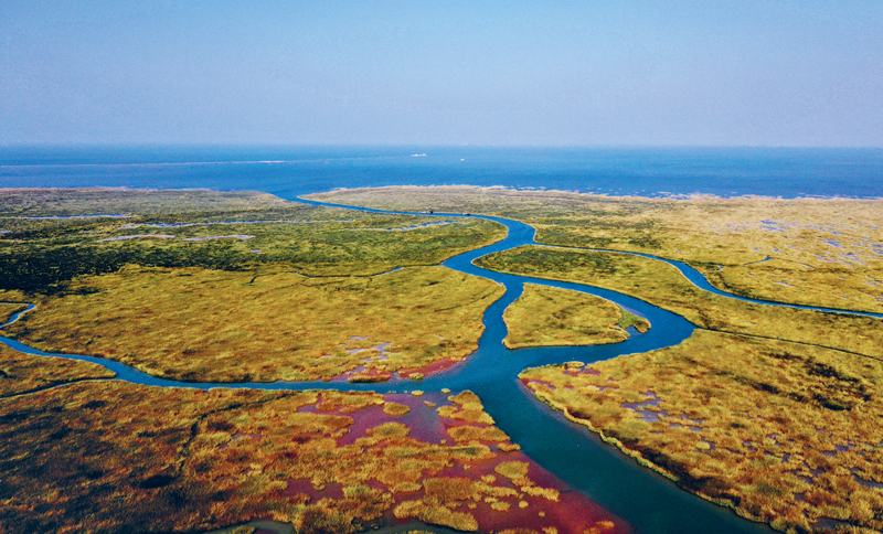 在黄河入海口，滔滔黄河水与渤海激情交汇，孕育了世界上最年轻的大河三角洲湿地生态系统。经过多年的生态调水和保护治理，植被退化的现象得到遏制，植被的结构组成和覆盖季显著增加，已成为中国沿海地区最大的海滩自然植被区之一。图为2019年10月拍摄的黄河三角洲湿地一景。山东省委宣传部供图 杨斌/摄