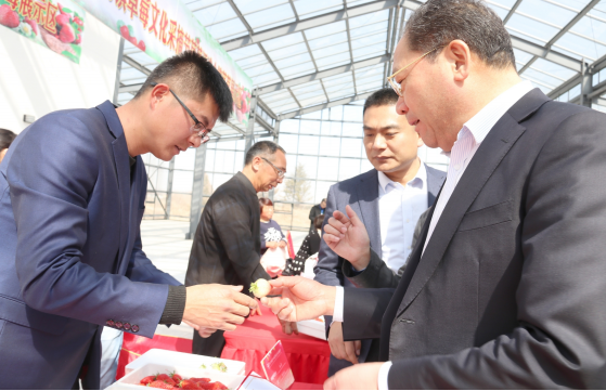 徐勇（左一）向客人推介南辛庄草莓。