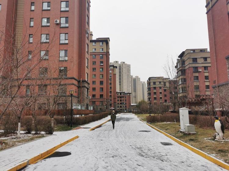 27日，辽宁地区雨雪、寒潮、大风天气接踵而至。 新华社记者白涌泉 摄