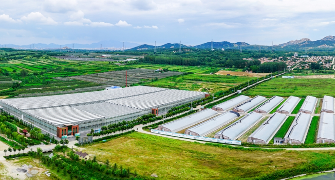 广袤沃野绘就乡村振兴新图景。（本报资料照片）