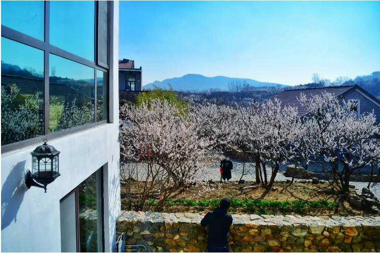 院子旅居·壹号院民宿的惬意生活（王培珂）