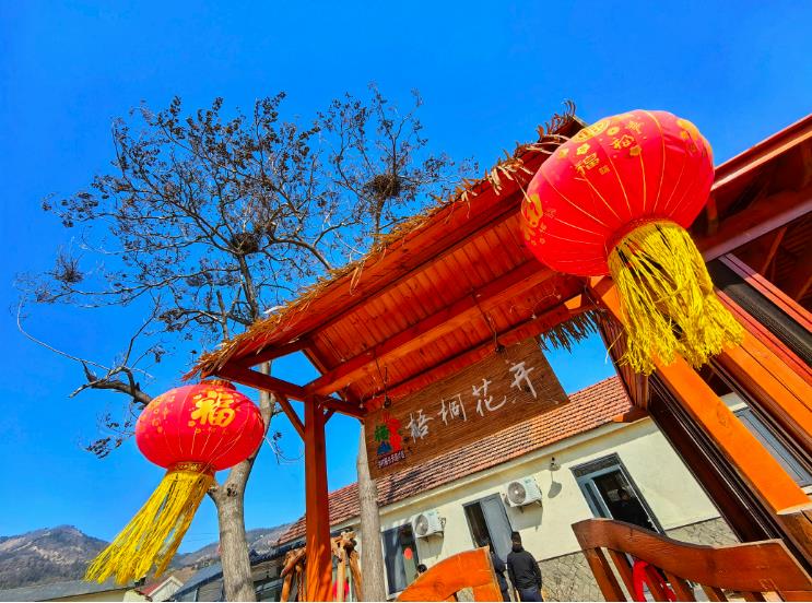 位于大下庄村的梧桐花开·农家小院。记者 李涛 摄