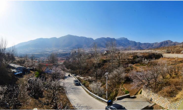 繁花似锦的杨家山里（王培珂）