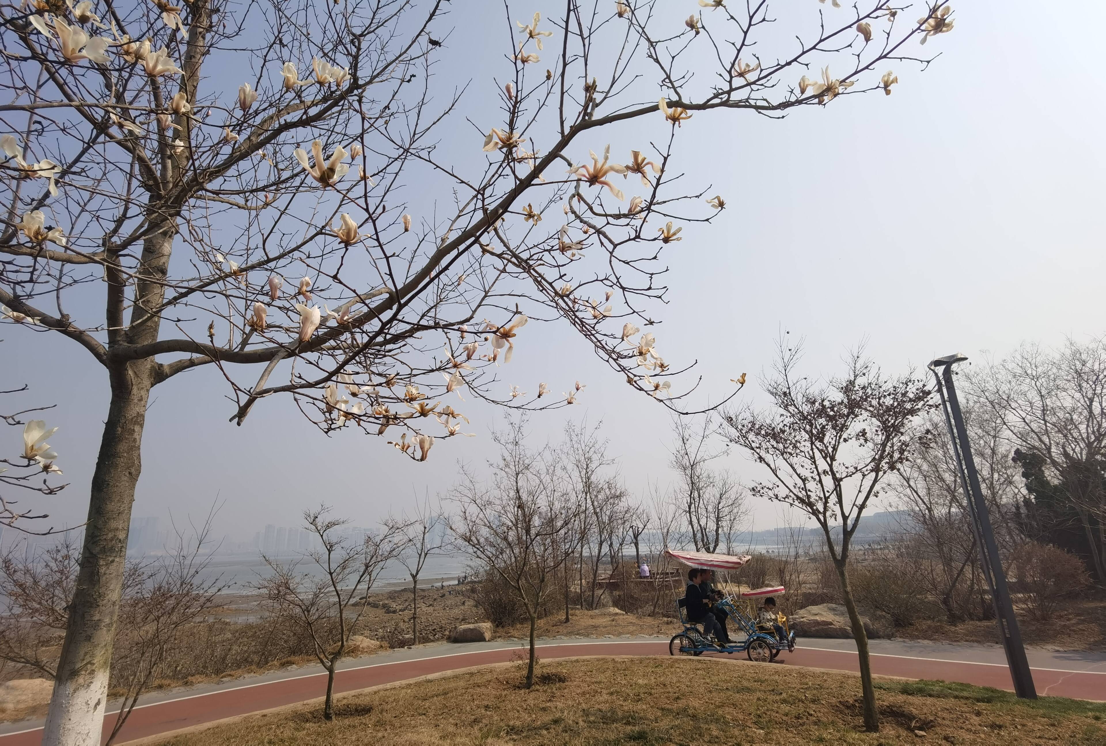 市民在唐岛湾享受亲子时光。记者 李涛 摄