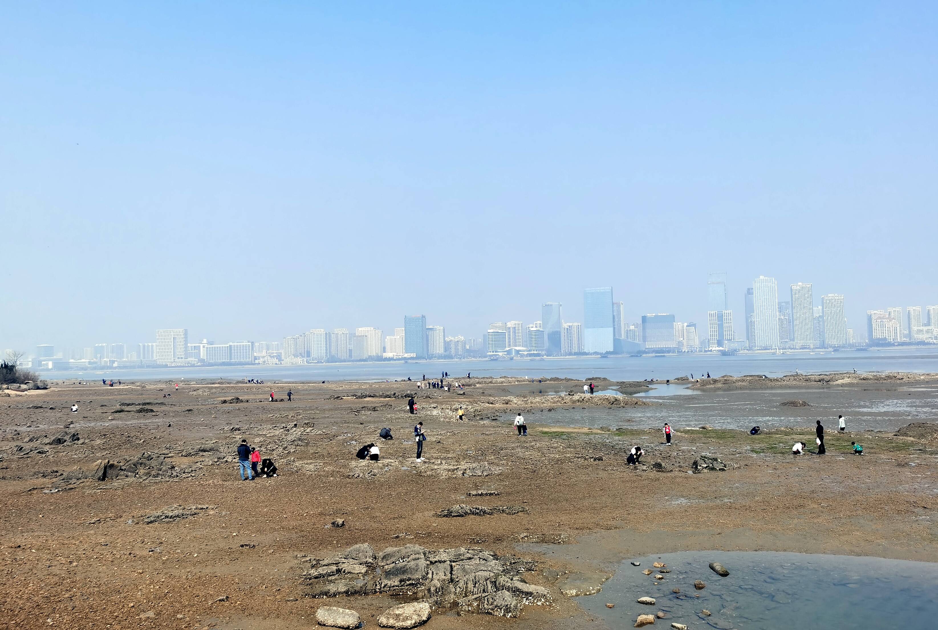 在唐岛湾南岸的自然滩涂，不少市民游客带着孩子赶海拾贝。记者 李涛 摄