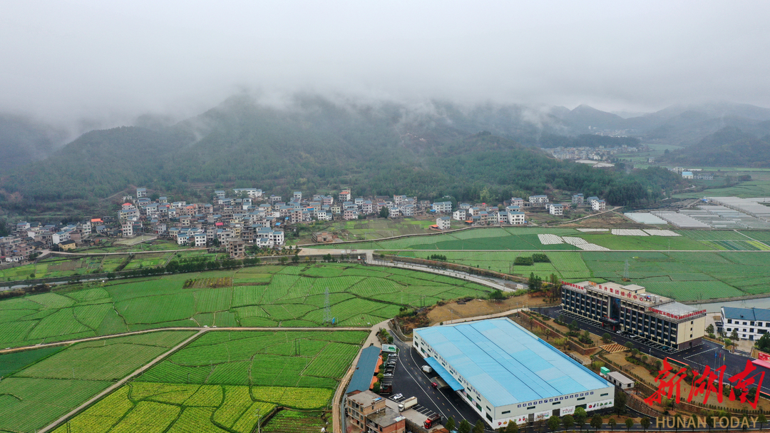 ▲东升农场满目翠绿的富硒菜地、高标准大棚与河流、村庄相互交融，呈现出一幅产业兴旺的美丽乡村田园画卷