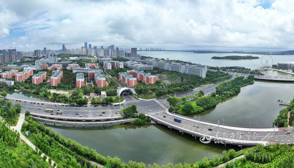珠江路连通工程正式通车运行，将有效缓解滨海大道交通压力。 记者 李亮 摄