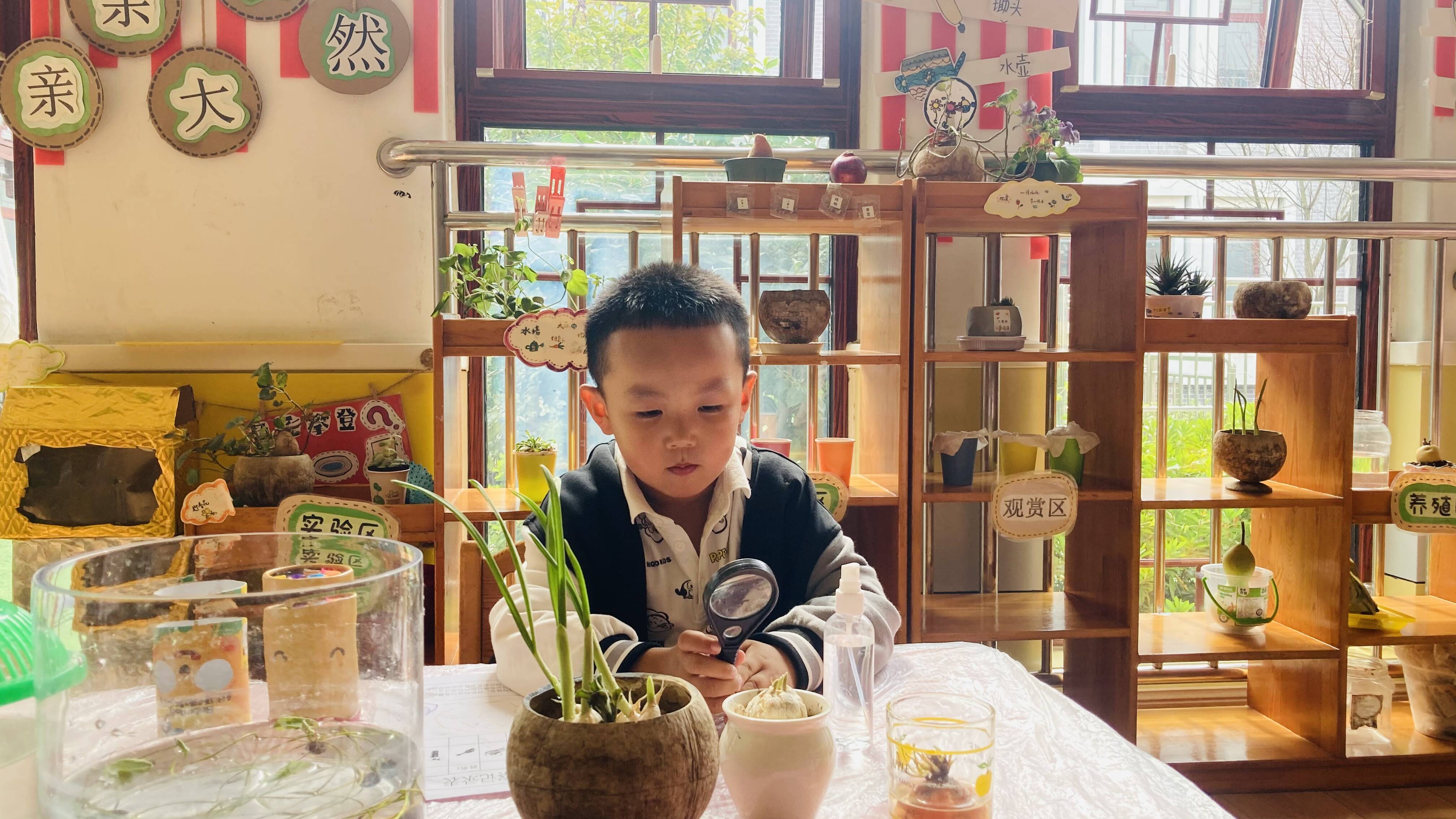 孩子认真观察植物的生长。记者 丁霞 摄