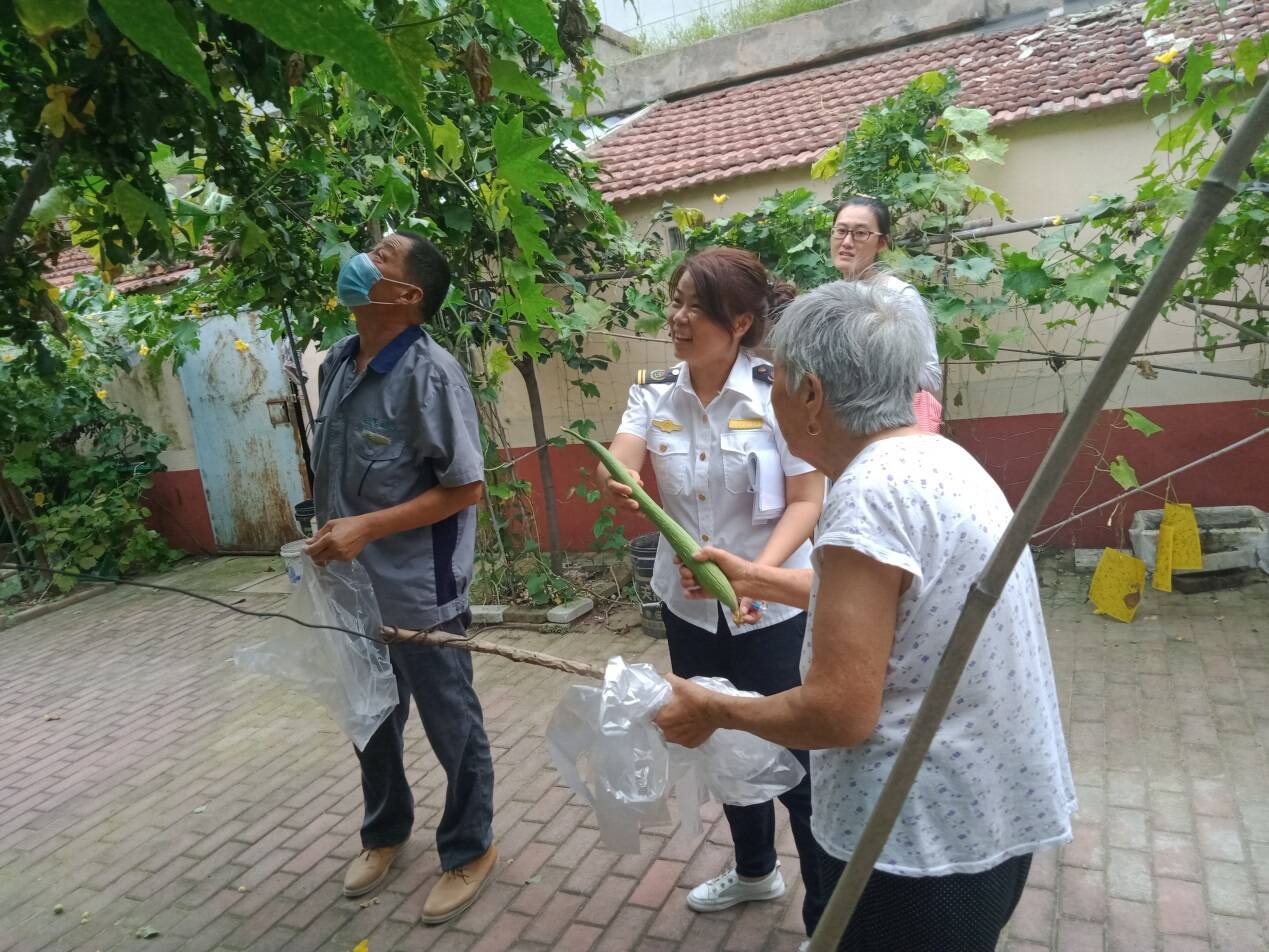 徐丽霞正忙着给居民家的果蔬套上“防护罩”。