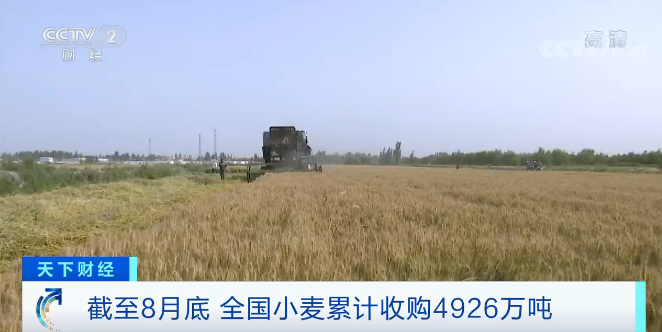 央视财经微信公号|粮食库存,创了一个历史之最!价格怎么走