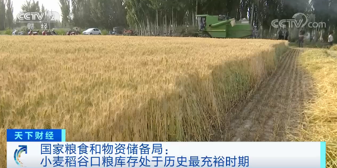央视财经微信公号|粮食库存,创了一个历史之最!价格怎么走