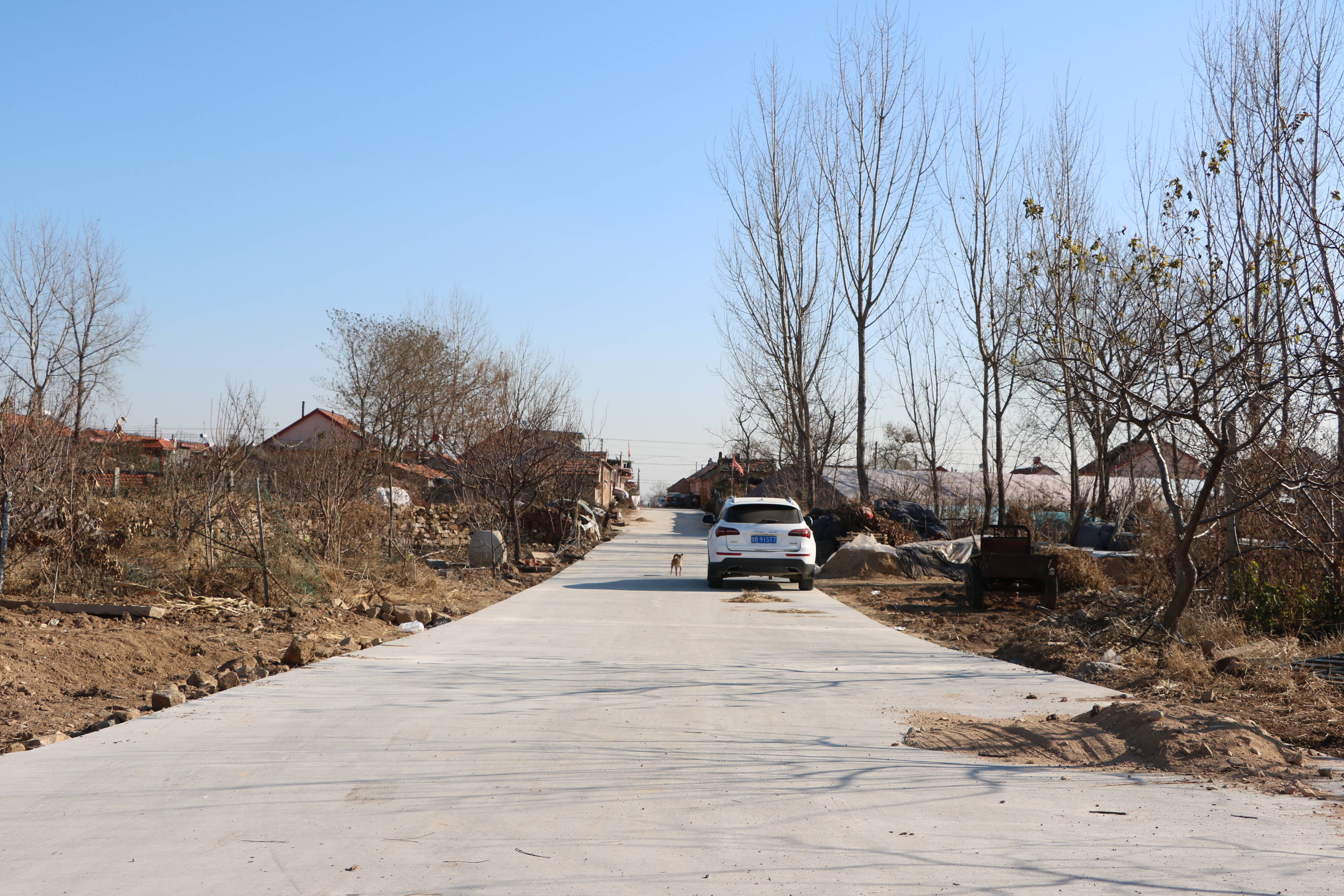 通往村庄的道路整修一新。记者 董梅雪 报道