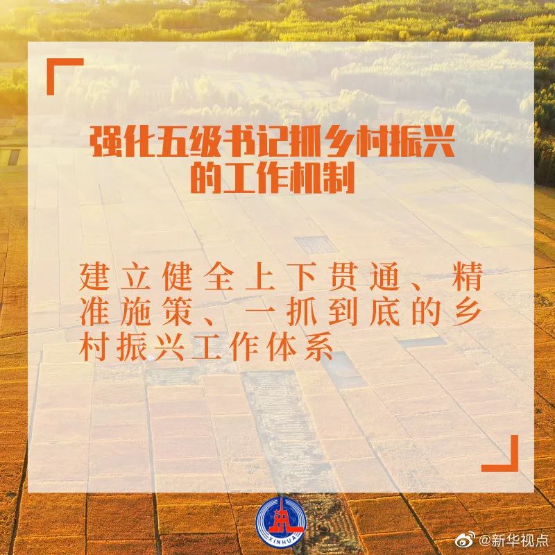 一号文件提出这些硬举措！