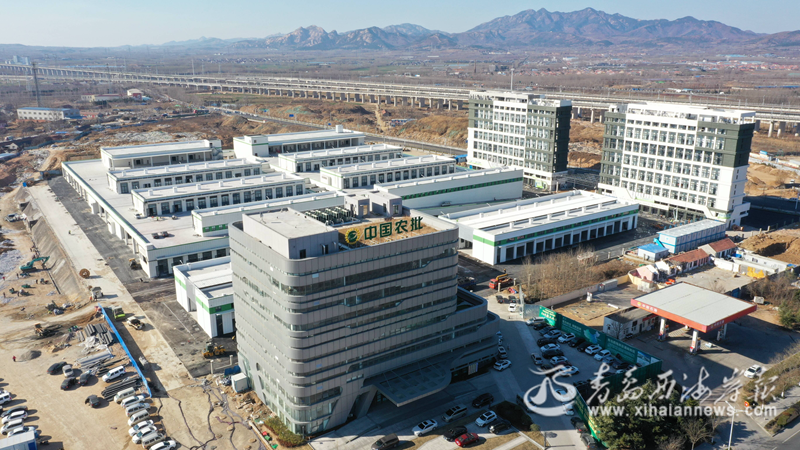 中国农批西海岸市场项目一期已投产运营。
