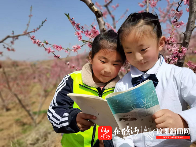 孩子们在桃花树下读书。