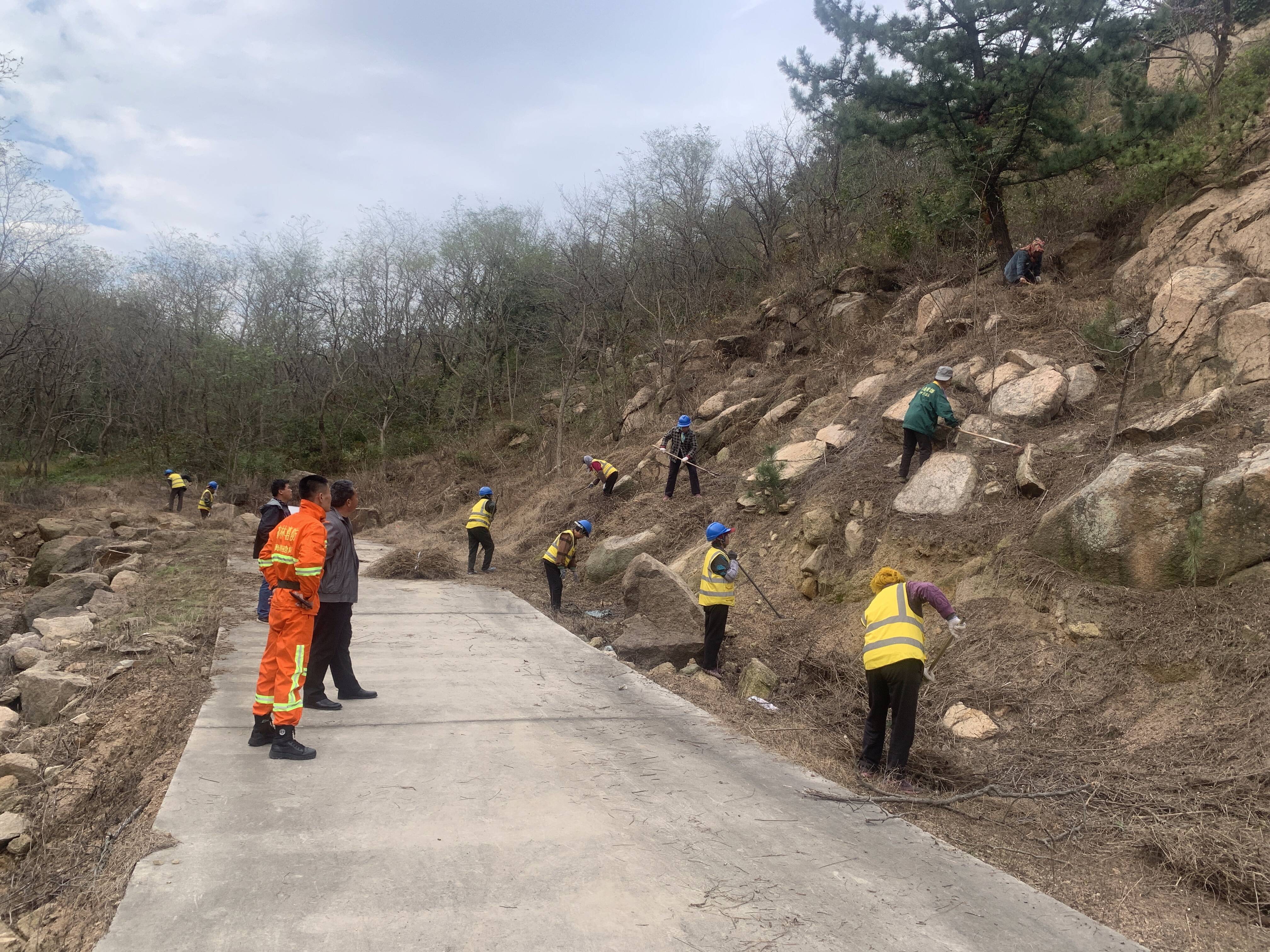 长江路街道工作人员正对扒山的林下可燃物进行清理。