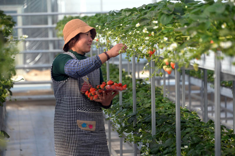 大众日报基层联系点的新鲜事 12月2日 12月7日