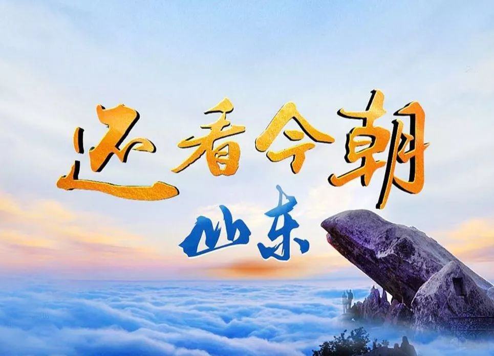山东人口时钟_山东人口结构图