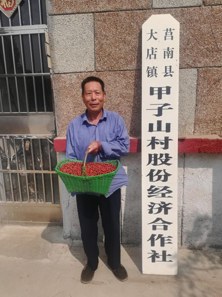 甲子村的合作社