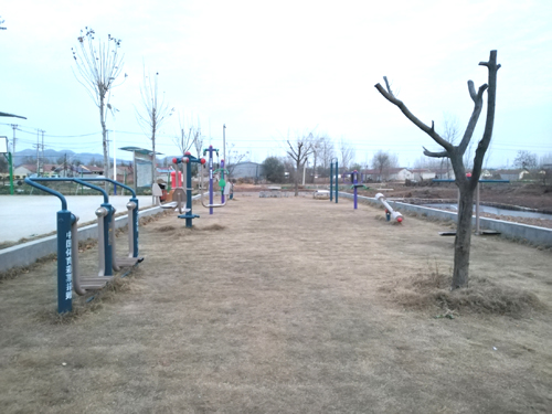 水塘边的健身设施