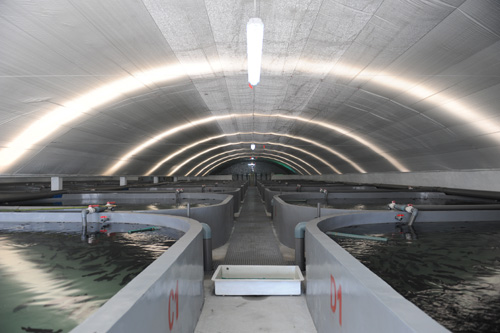 循环水养殖车间