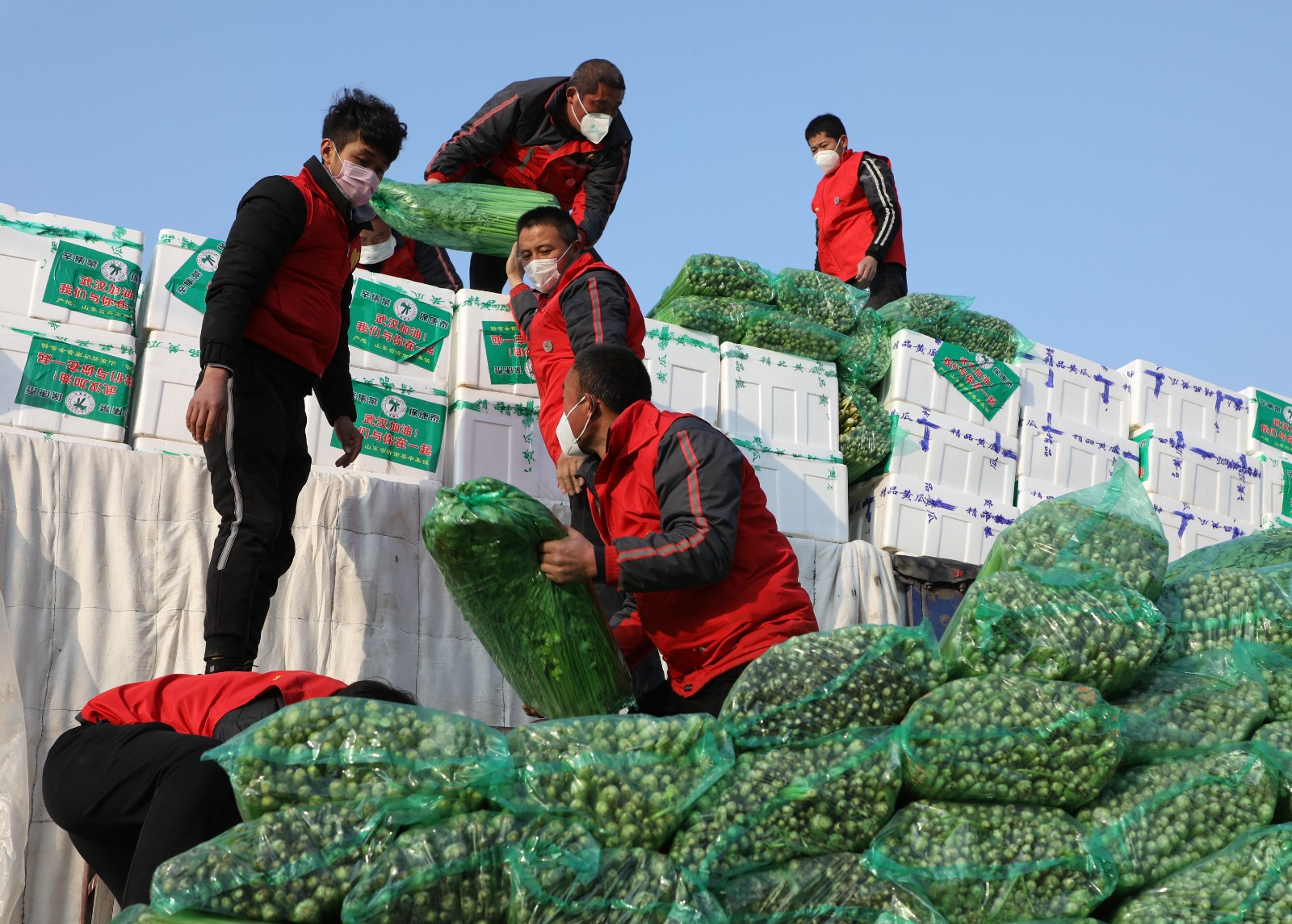 2月9日，临沂市房家庄子蔬菜批发市场，志愿者和工人在搬运驰援武汉的爱心蔬菜。