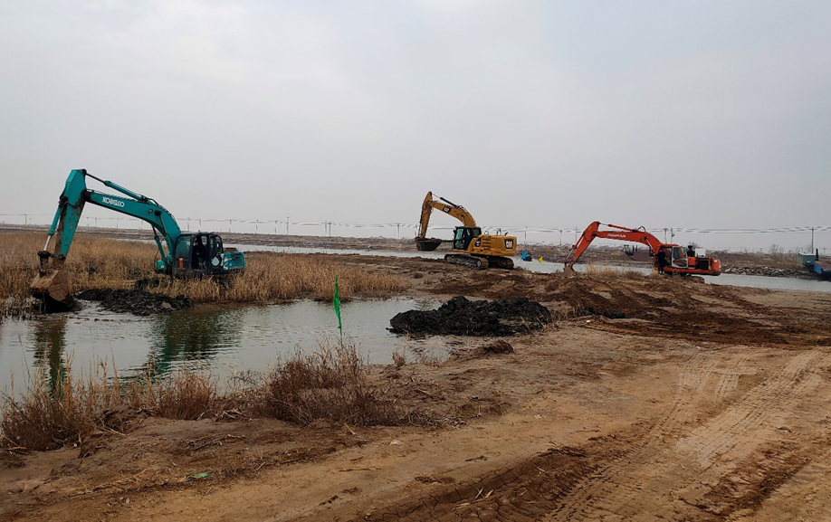 滨州市沾化区徒骇河治理工程施工现场，挖掘机正在作业。