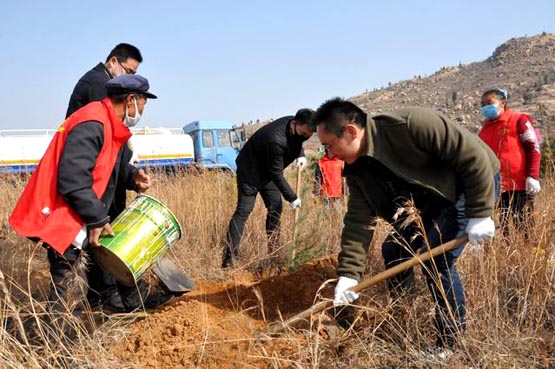 市直相关部门干部和镇机关干部植树现场