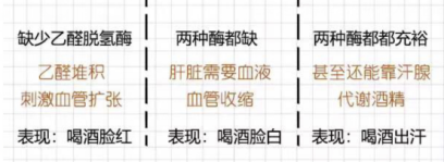 「」趣新闻：东北虎西北狼 喝酒喝不过山东小绵羊