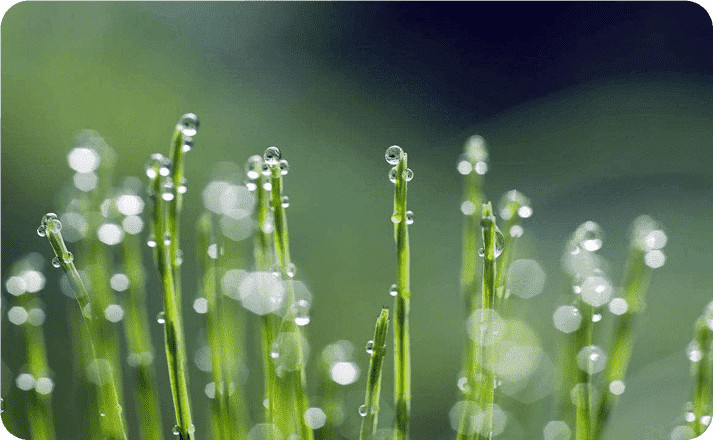 『大众日报客户端·海报新闻』，森林火险等级高，@山东人，清明天气早知道