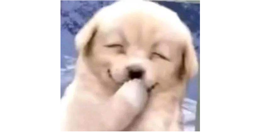 大众日报客户端·海报新闻:齐鲁山海经丨山东人的分餐制几千年前就有了……