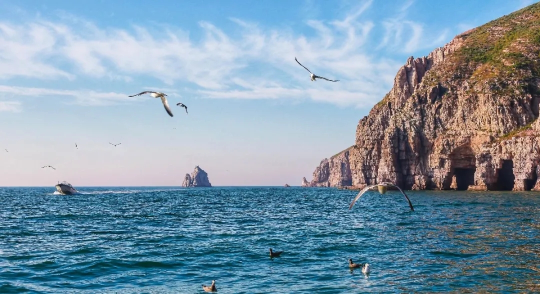 『大众日报客户端·海报新闻』好客山东丨不出国!把山东的宝藏海岛推荐给你!