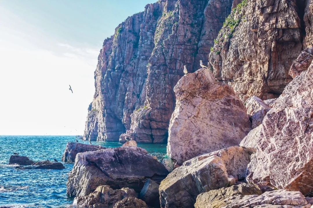 『大众日报客户端·海报新闻』好客山东丨不出国!把山东的宝藏海岛推荐给你!
