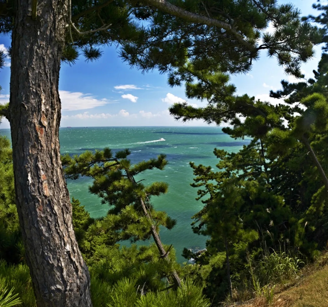 『大众日报客户端·海报新闻』好客山东丨不出国！把山东的宝藏海岛推荐给你！