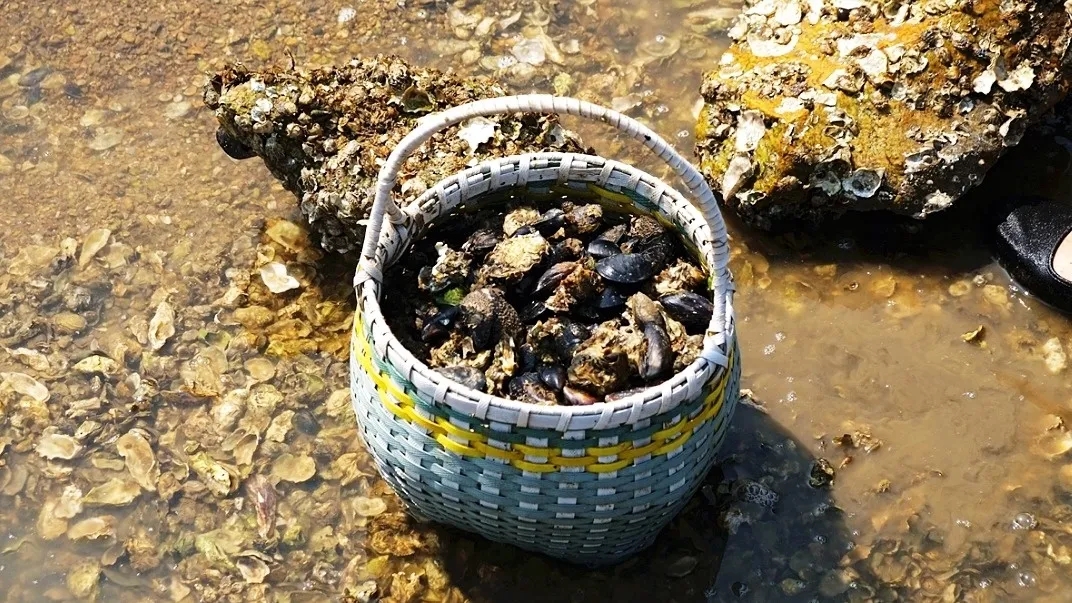 『大众日报客户端·海报新闻』好客山东丨不出国!把山东的宝藏海岛推荐给你!