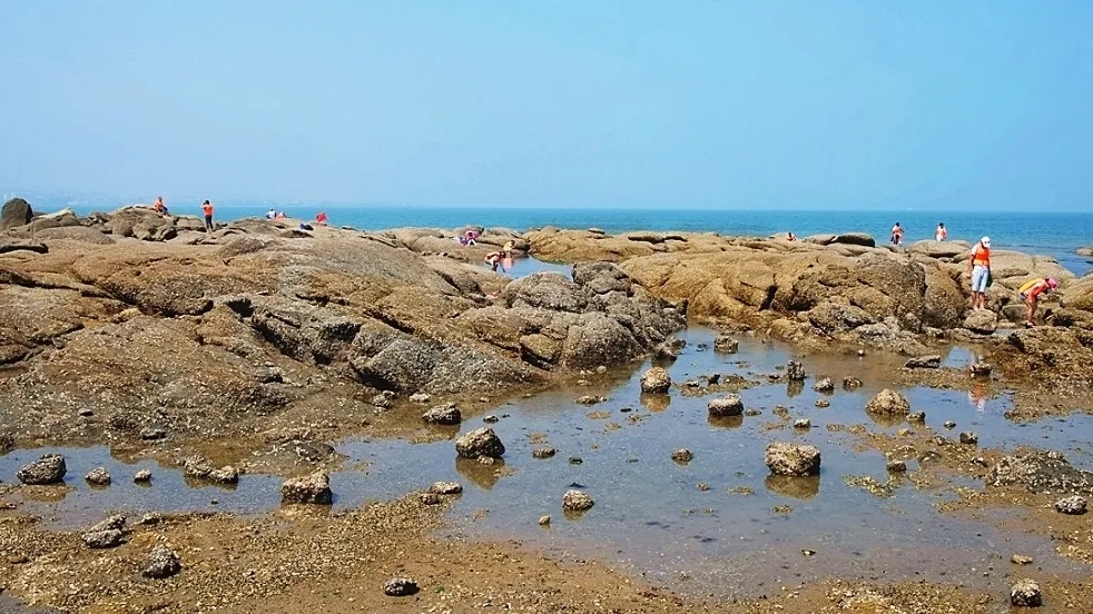 『大众日报客户端·海报新闻』好客山东丨不出国!把山东的宝藏海岛推荐给你!