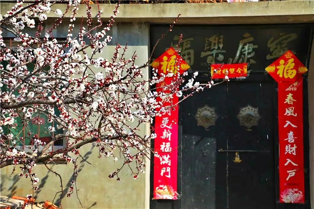 『大众日报客户端·海报新闻』好客山东丨不出国！把山东的宝藏海岛推荐给你！