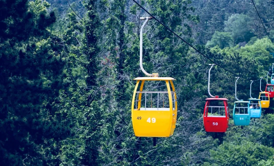 『大众日报客户端·海报新闻』好客山东丨不出国！把山东的宝藏海岛推荐给你！