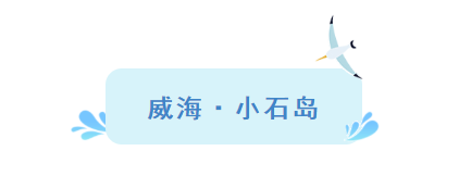 『大众日报客户端·海报新闻』好客山东丨不出国！把山东的宝藏海岛推荐给你！