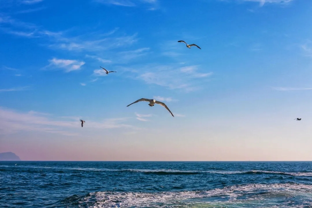 『大众日报客户端·海报新闻』好客山东丨不出国!把山东的宝藏海岛推荐给你!